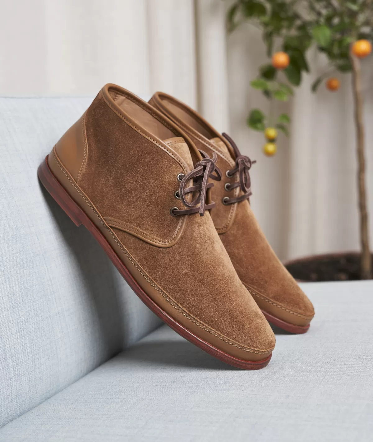 Store Desert boots en Daim Marron Homme Desert Boots